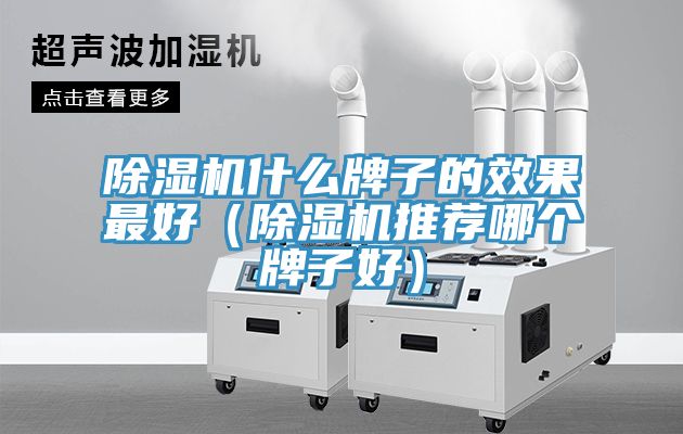 小黄片软件免费下载什麽牌子的效果最好（小黄片软件免费下载推薦哪個牌子好）