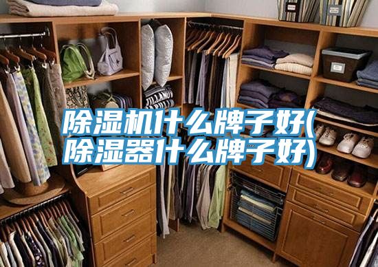 小黄片软件免费下载什麽牌子好(除濕器什麽牌子好)