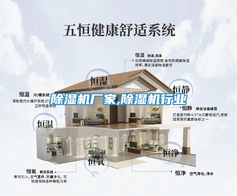 小黄片软件免费下载廠家,小黄片软件免费下载行業