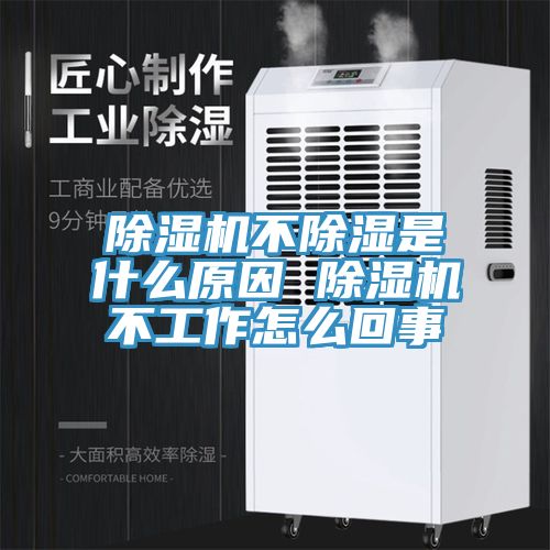 小黄片软件免费下载不除濕是什麽原因 小黄片软件免费下载不工作怎麽回事