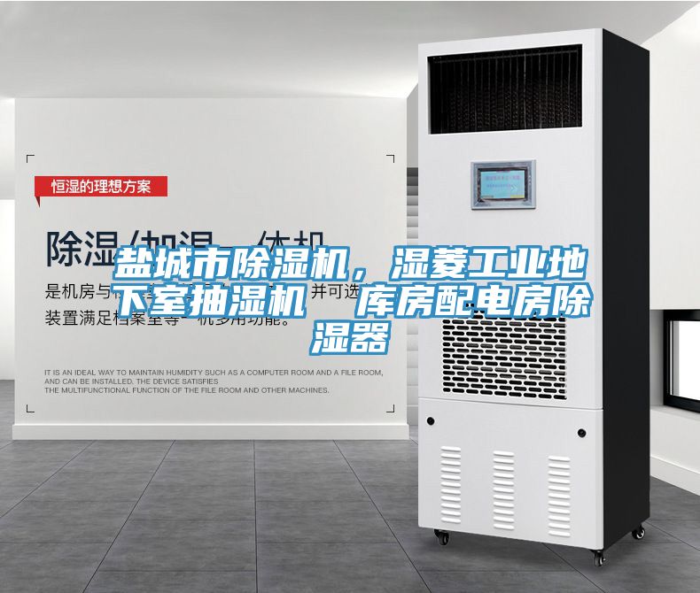 鹽城市小黄片软件免费下载，濕菱工業地下室抽濕機  庫房配電房除濕器