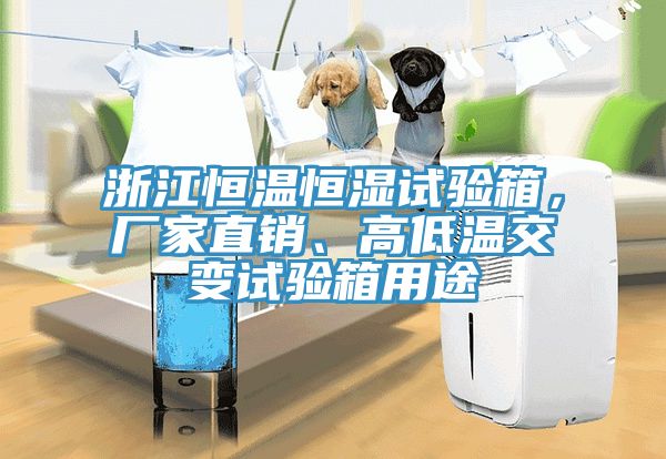 浙江恒溫恒濕試驗箱，廠家直銷、高低溫交變試驗箱用途