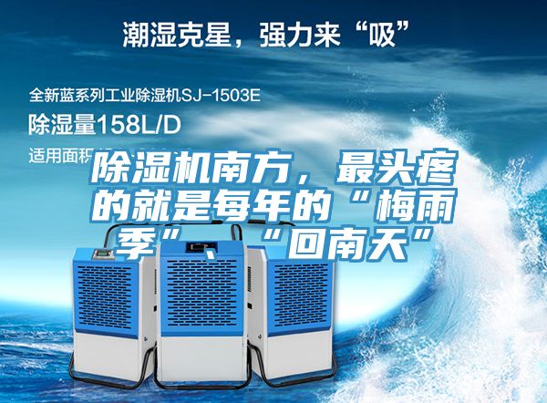 小黄片软件免费下载南方，最頭疼的就是每年的“梅雨季”、“回南天”