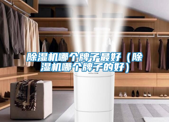 小黄片软件免费下载哪個牌子最好（小黄片软件免费下载哪個牌子的好）