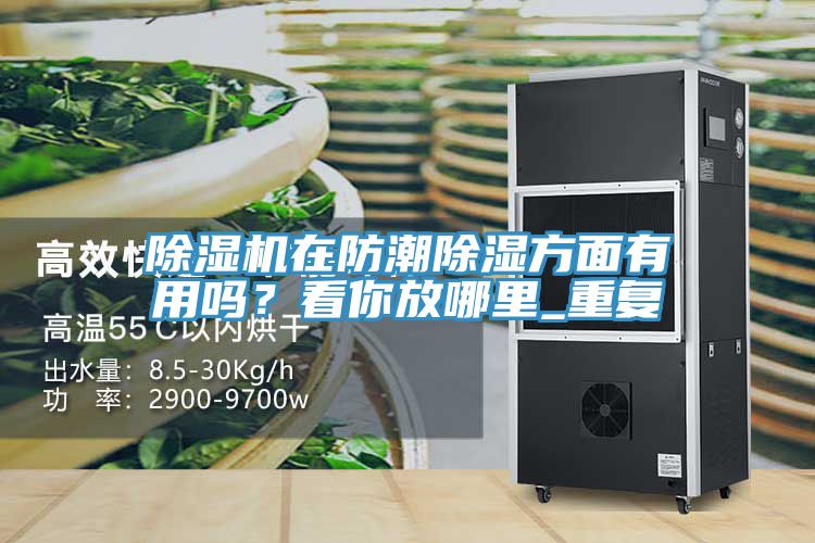 小黄片软件免费下载在防潮除濕方麵有用嗎？看你放哪裏_重複