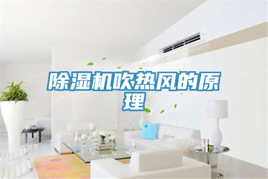 小黄片软件免费下载吹熱風的原理