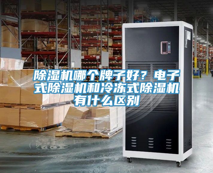 小黄片软件免费下载哪個牌子好？電子式小黄片软件免费下载和冷凍式小黄片软件免费下载有什麽區別