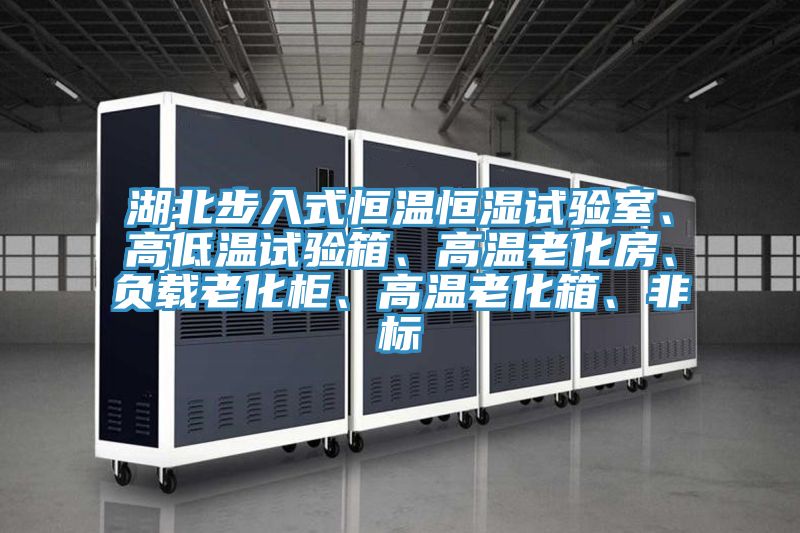 湖北步入式恒溫恒濕試驗室、高低溫試驗箱、高溫老化房、負載老化櫃、高溫老化箱、非標