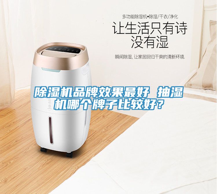 小黄片软件免费下载品牌效果最好 抽濕機哪個牌子比較好？