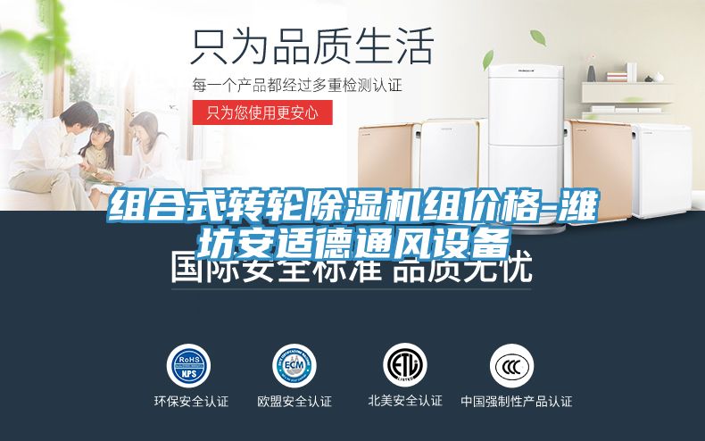 組合式轉輪小黄片软件免费下载組價格-濰坊安適德通風設備
