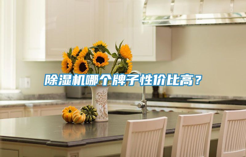 小黄片软件免费下载哪個牌子性價比高？