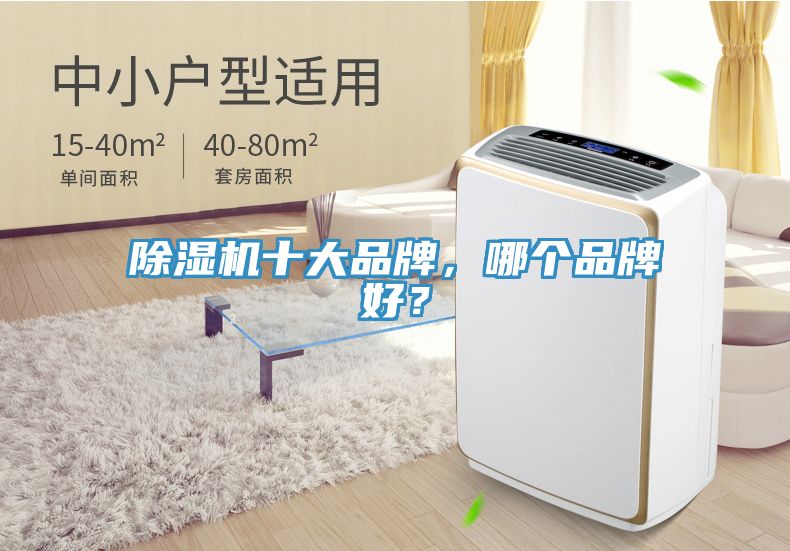 小黄片软件免费下载十大品牌，哪個品牌好？