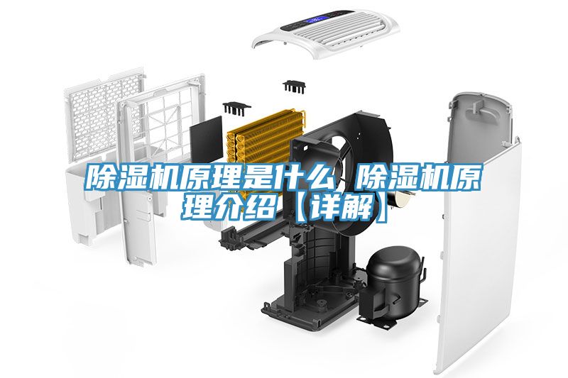 小黄片软件免费下载原理是什麽 小黄片软件免费下载原理介紹【詳解】