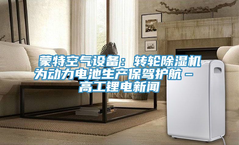 蒙特空氣設備：轉輪小黄片软件免费下载為動力電池生產保駕護航– 高工鋰電新聞