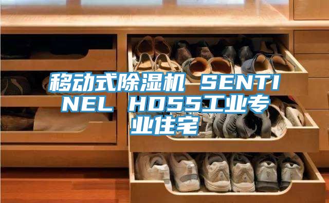 移動式小黄片软件免费下载 SENTINEL HD55工業專業住宅