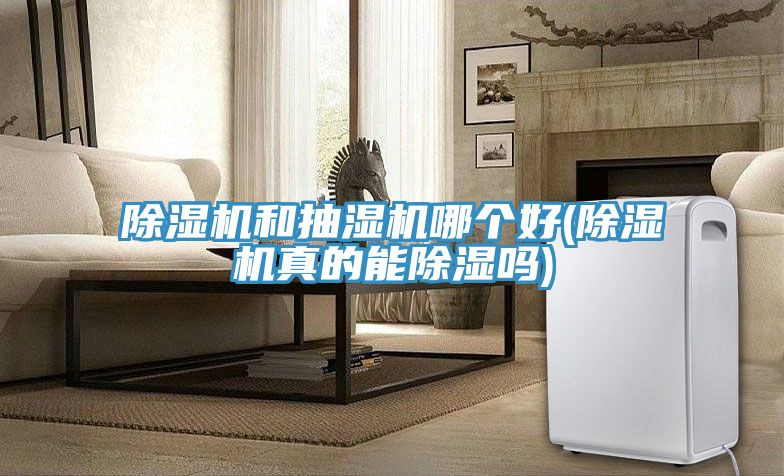 小黄片软件免费下载和抽濕機哪個好(小黄片软件免费下载真的能除濕嗎)