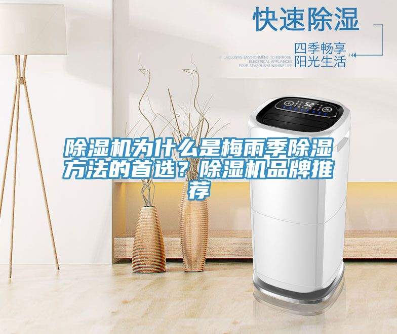 小黄片软件免费下载為什麽是梅雨季除濕方法的首選？小黄片软件免费下载品牌推薦