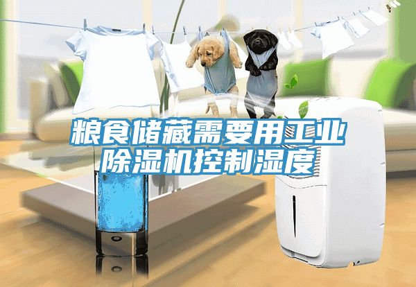 糧食儲藏需要用工業小黄片软件免费下载控製濕度