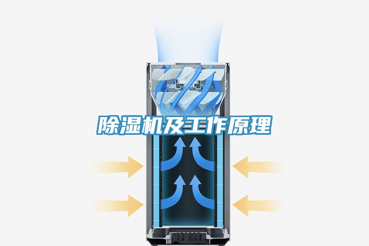 小黄片软件免费下载及工作原理