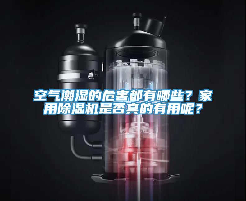 空氣潮濕的危害都有哪些？家用小黄片软件免费下载是否真的有用呢？