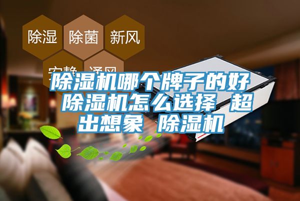 小黄片软件免费下载哪個牌子的好 小黄片软件免费下载怎麽選擇 超出想象 小黄片软件免费下载
