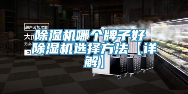 小黄片软件免费下载哪個牌子好 小黄片软件免费下载選擇方法【詳解】