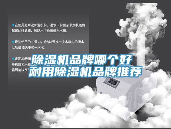 小黄片软件免费下载品牌哪個好 耐用小黄片软件免费下载品牌推薦