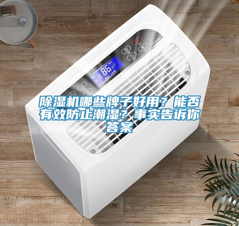 小黄片软件免费下载哪些牌子好用？能否有效防止潮濕？事實告訴你答案