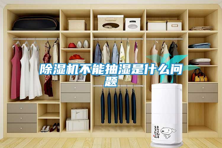 小黄片软件免费下载不能抽濕是什麽問題