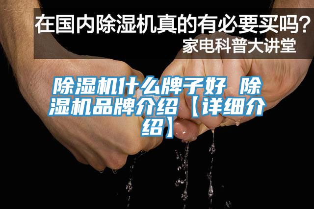 小黄片软件免费下载什麽牌子好 小黄片软件免费下载品牌介紹【詳細介紹】