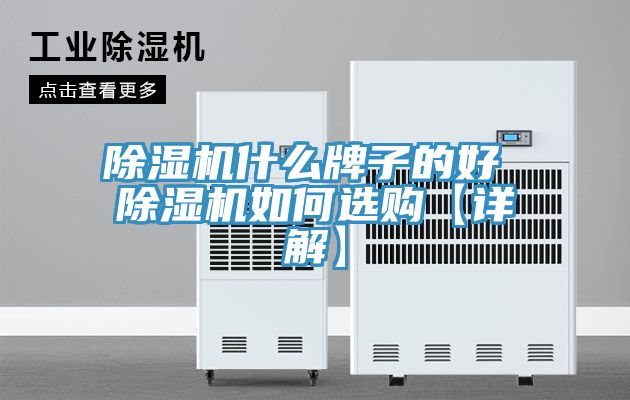 小黄片软件免费下载什麽牌子的好 小黄片软件免费下载如何選購【詳解】