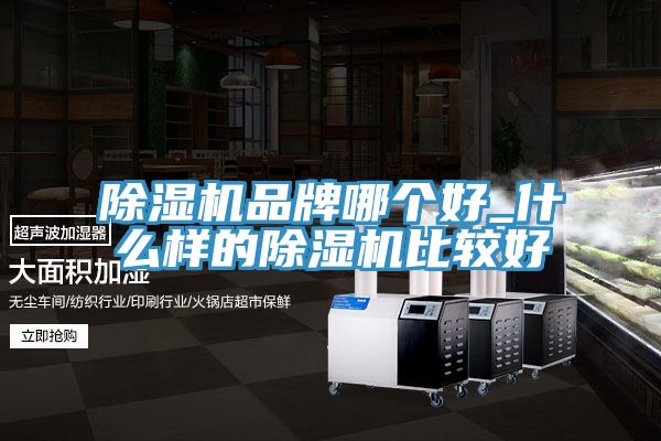 小黄片软件免费下载品牌哪個好_什麽樣的小黄片软件免费下载比較好