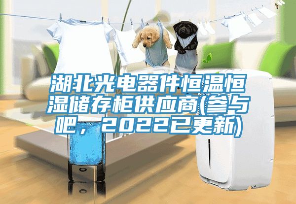 湖北光電器件恒溫恒濕儲存櫃供應商(參與吧，2022已更新)