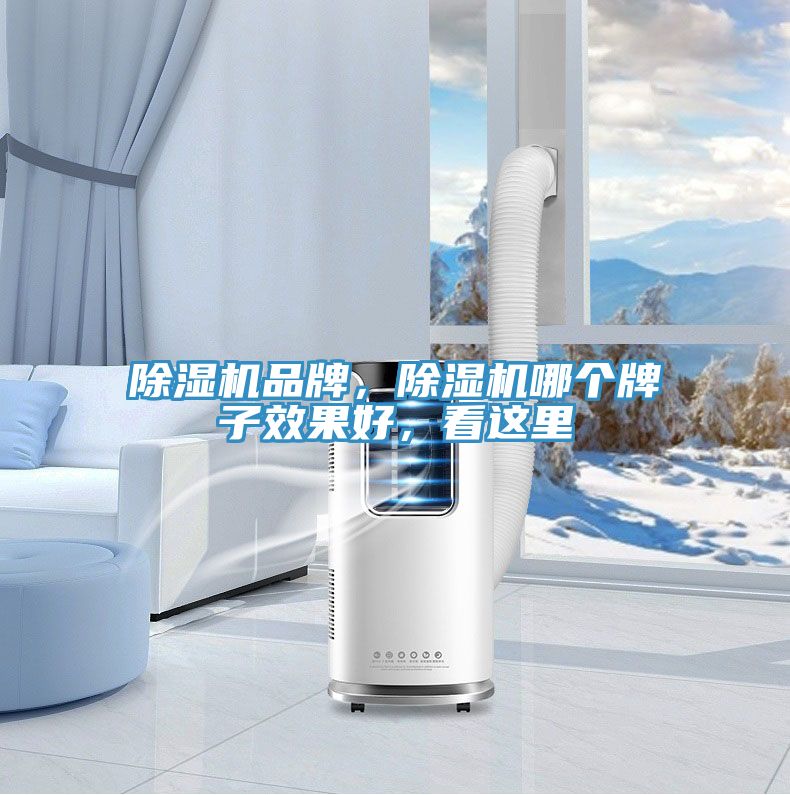小黄片软件免费下载品牌，小黄片软件免费下载哪個牌子效果好，看這裏