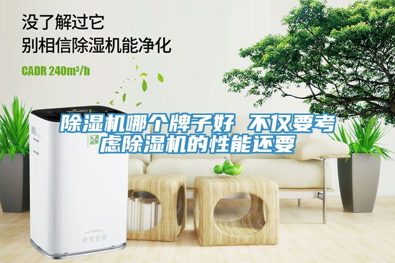 小黄片软件免费下载哪個牌子好 不僅要考慮小黄片软件免费下载的性能還要