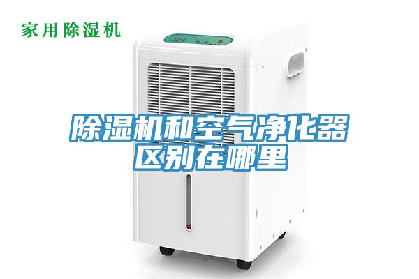 小黄片软件免费下载和空氣淨化器區別在哪裏