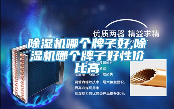 小黄片软件免费下载哪個牌子好,小黄片软件免费下载哪個牌子好性價比高