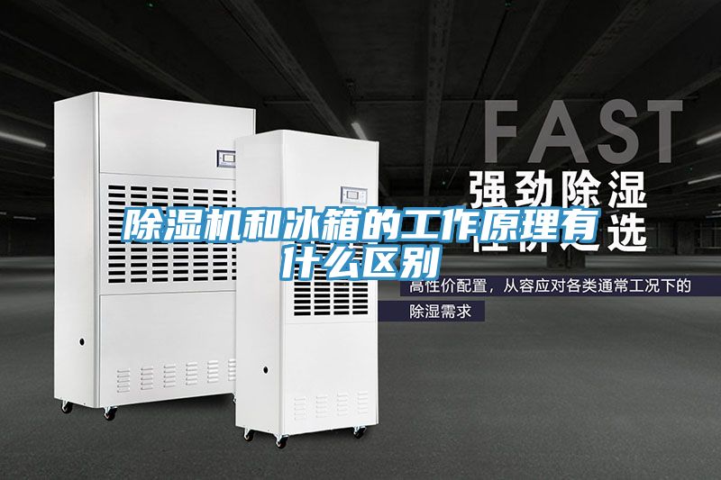 小黄片软件免费下载和冰箱的工作原理有什麽區別