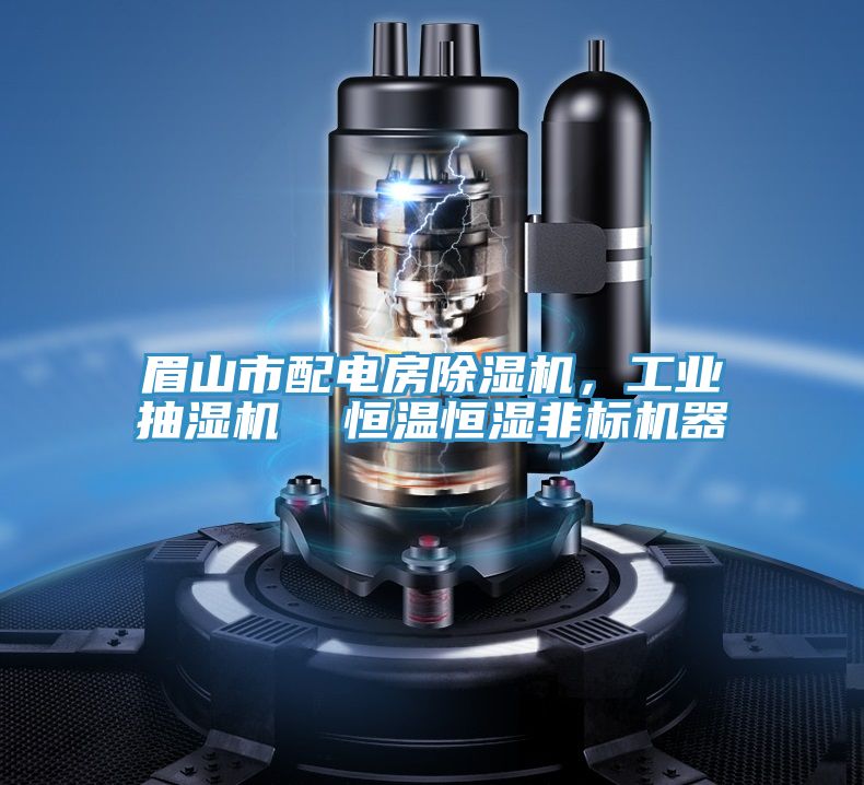 眉山市配電房小黄片软件免费下载，工業抽濕機  恒溫恒濕非標機器