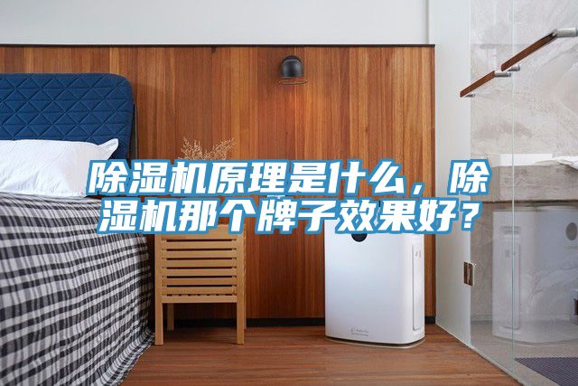 小黄片软件免费下载原理是什麽，小黄片软件免费下载那個牌子效果好？