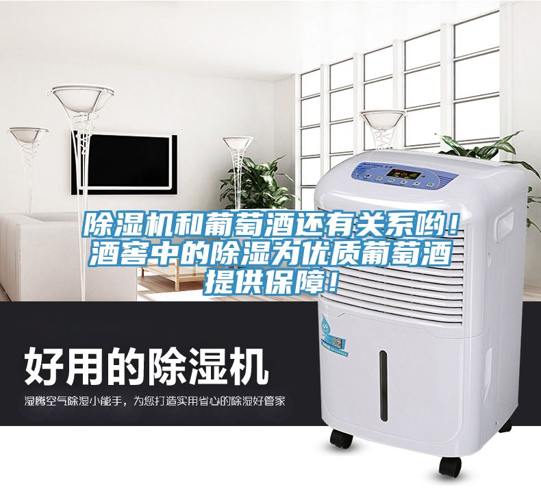 小黄片软件免费下载和葡萄酒還有關係喲！酒窖中的除濕為優質葡萄酒提供保障！