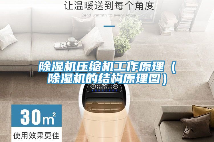小黄片软件免费下载壓縮機工作原理（小黄片软件免费下载的結構原理圖）
