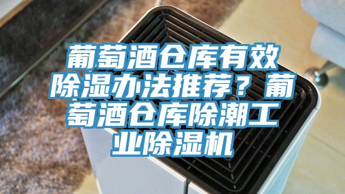 葡萄酒倉庫有效除濕辦法推薦？葡萄酒倉庫除潮工業小黄片软件免费下载
