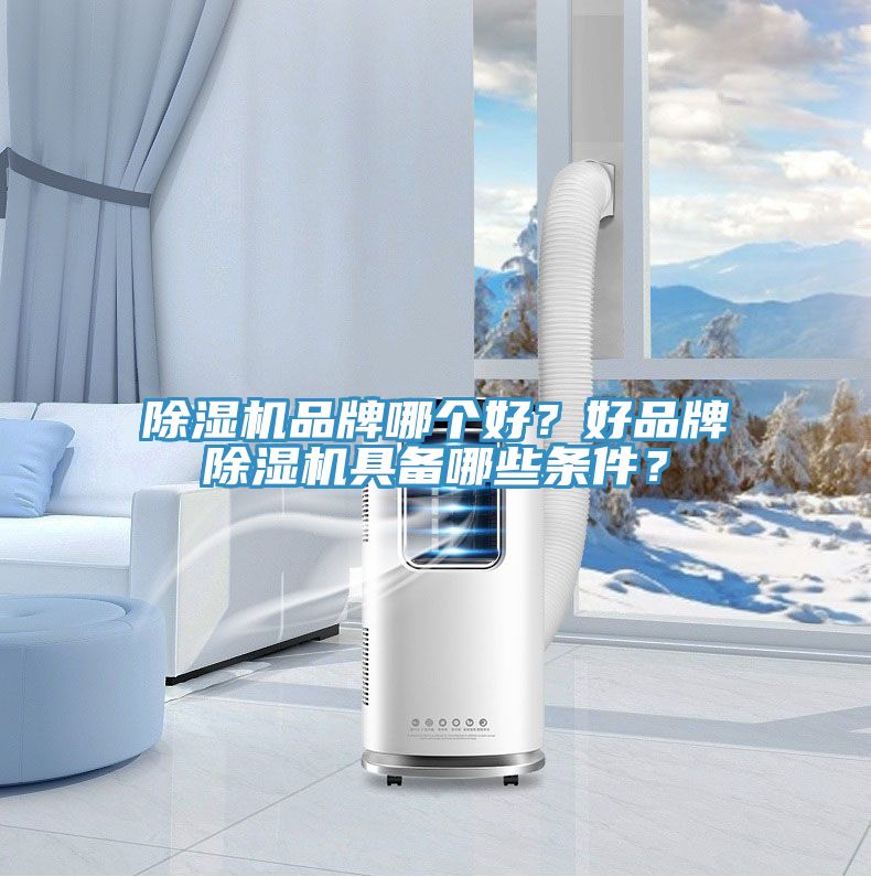 小黄片软件免费下载品牌哪個好？好品牌小黄片软件免费下载具備哪些條件？