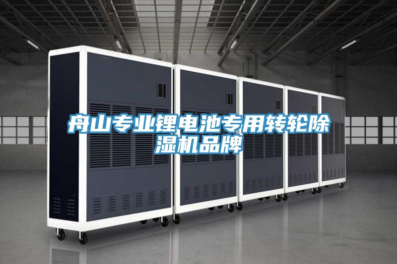 舟山專業鋰電池專用轉輪小黄片软件免费下载品牌