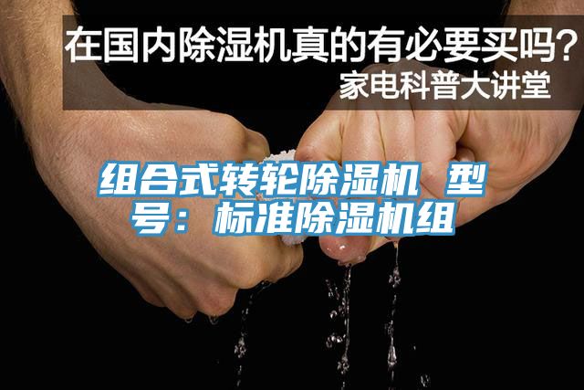 組合式轉輪小黄片软件免费下载 型號：標準小黄片软件免费下载組