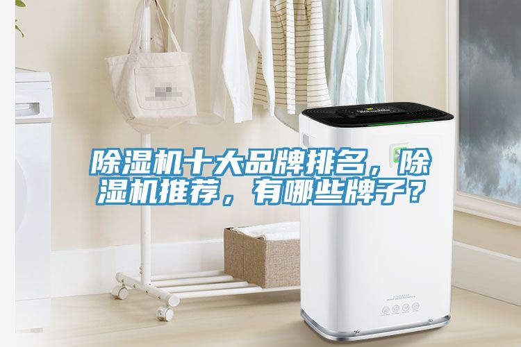 小黄片软件免费下载十大品牌排名，小黄片软件免费下载推薦，有哪些牌子？
