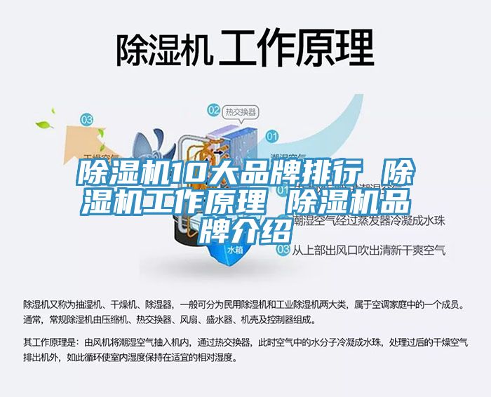 小黄片软件免费下载10大品牌排行 小黄片软件免费下载工作原理 小黄片软件免费下载品牌介紹