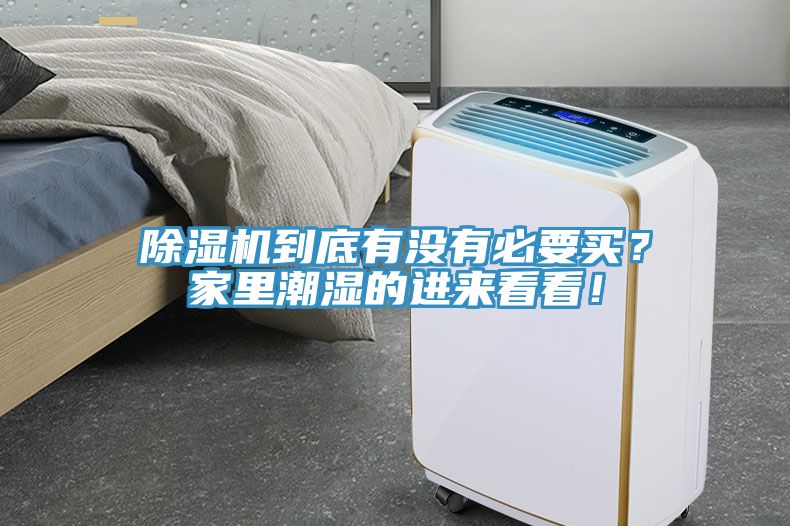小黄片软件免费下载到底有沒有必要買？家裏潮濕的進來看看！