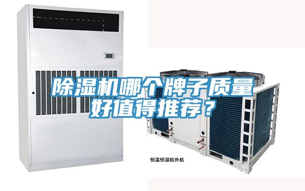 小黄片软件免费下载哪個牌子質量好值得推薦？